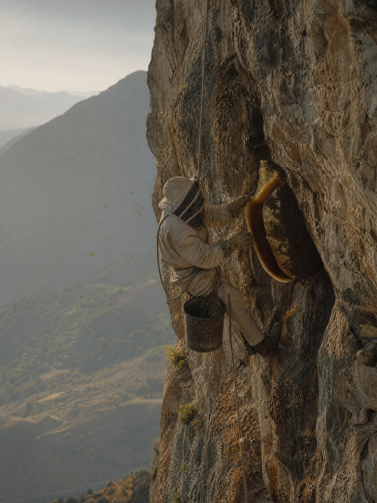 Lal Anatolia · lal harvester cliff 2