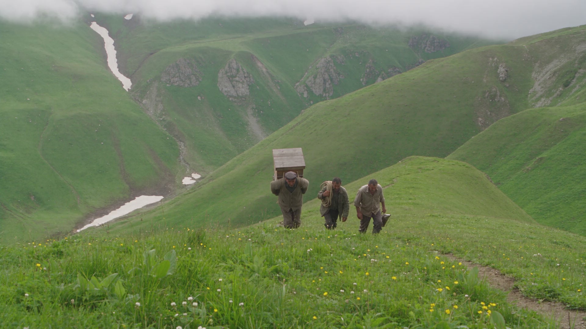 Lal Anatolia · hero_green_desktop