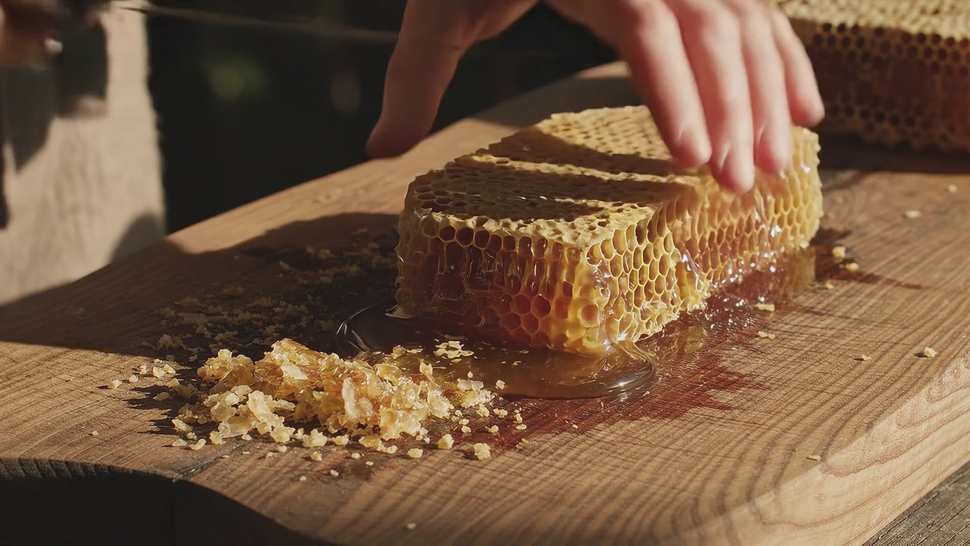 Lal Anatolia · doc_v_comb_cut