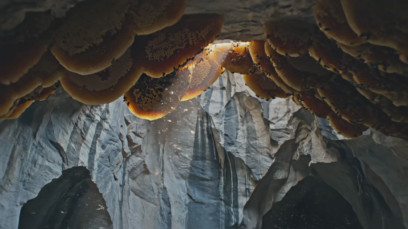 Lal Anatolia · veo video cave hd